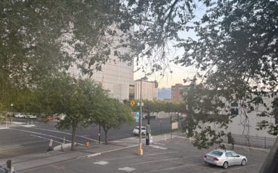 Can I Pay Someone to Set Up My Shopify?