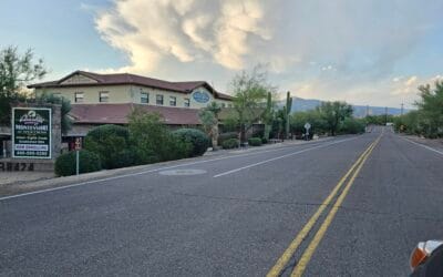 Complete Guide to Local SEO in Arizona: Dominate Your Local Market in 2025